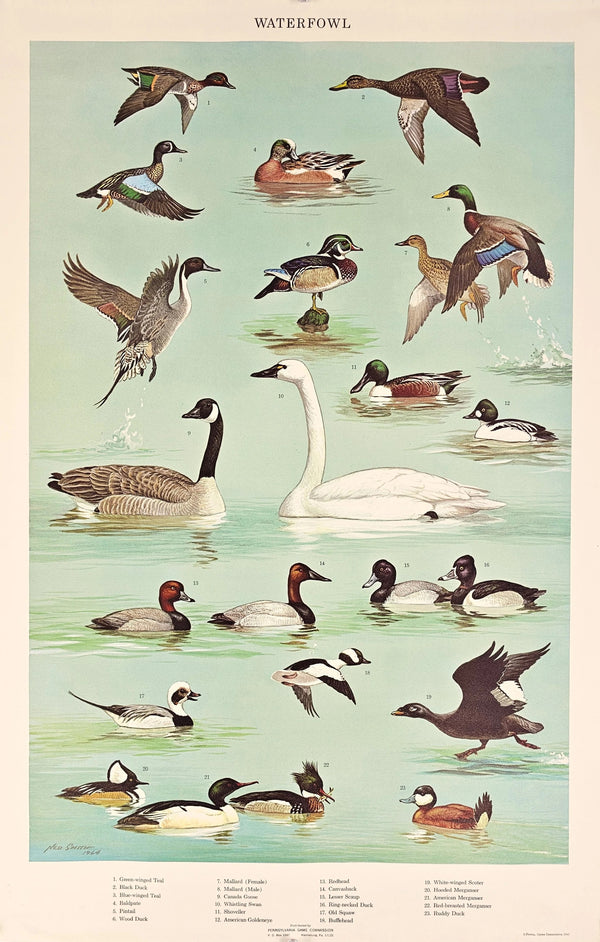 Waterfowl - Original Vintage Poster