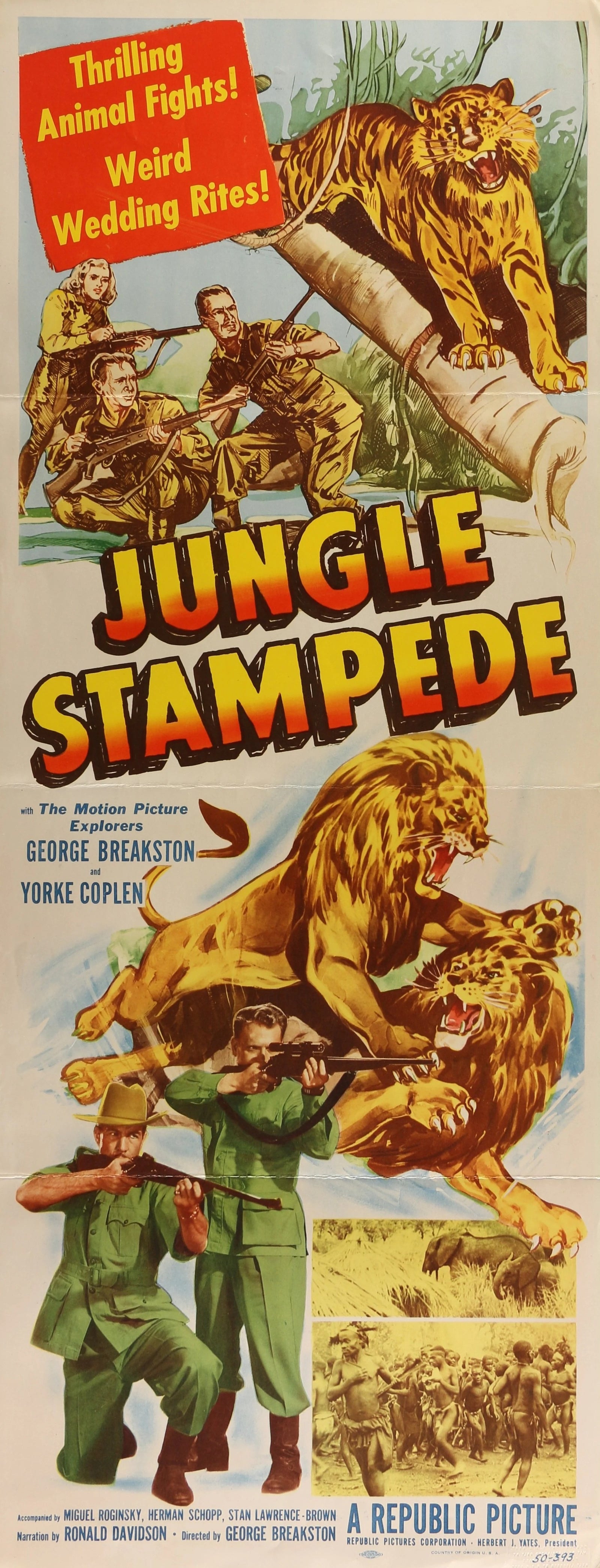 Jungle Stampede  - Original Vintage Poster