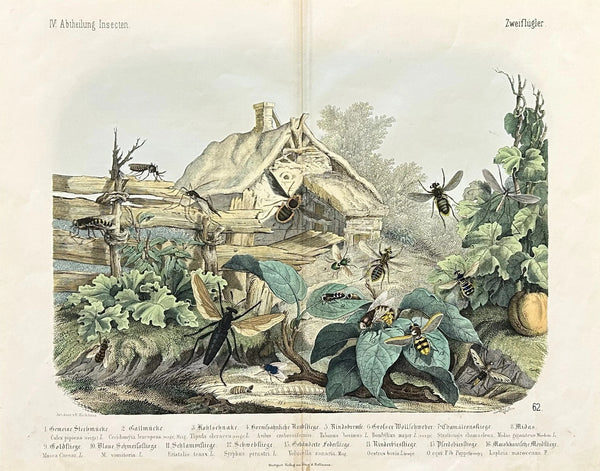 Bees, Gadfly, Horsefly, & Mosquito, Hand Colored Engraving - Original Antique Print: