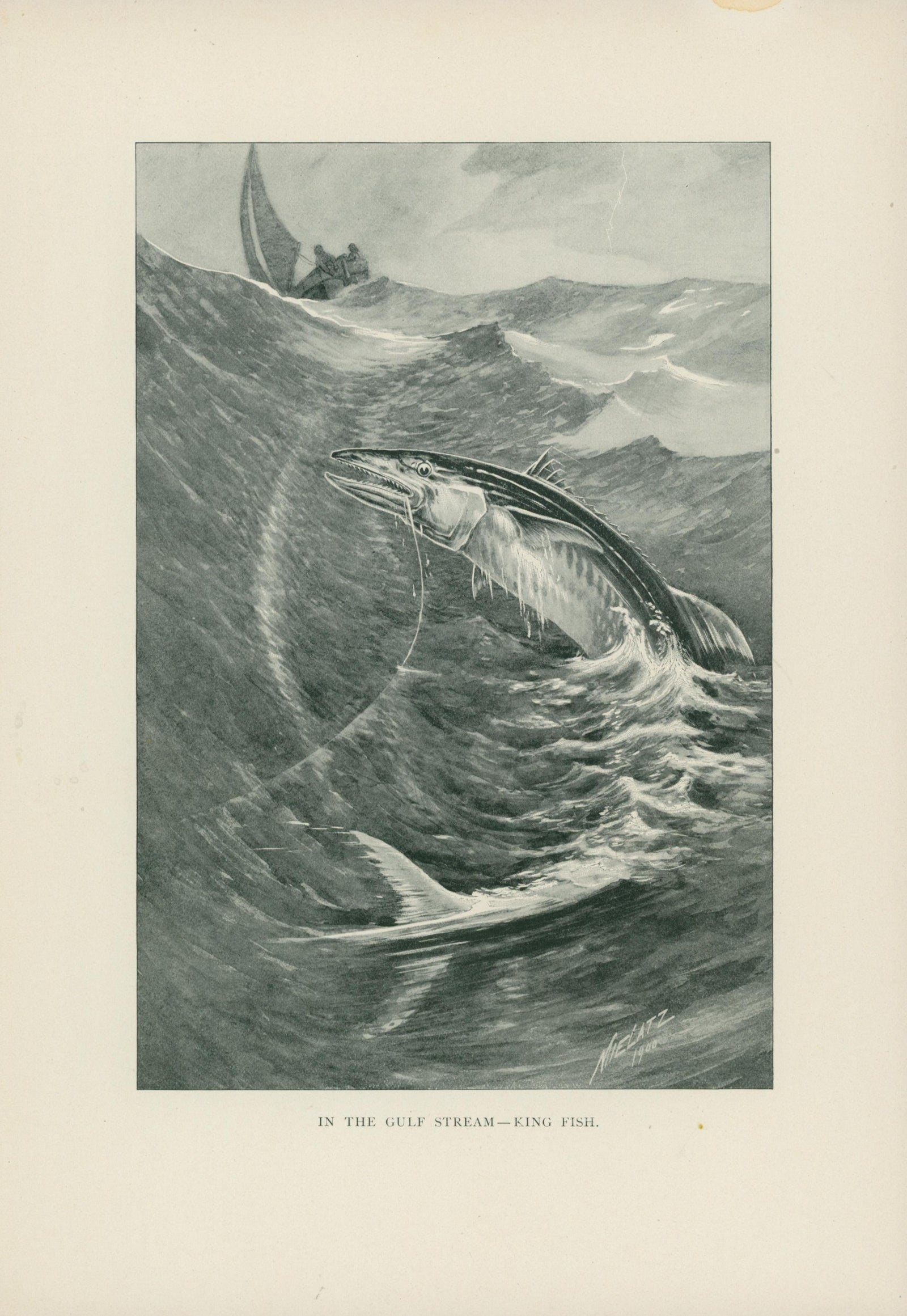 11- NY Forest Fish Game Commission - Authentic Vintage Illustration