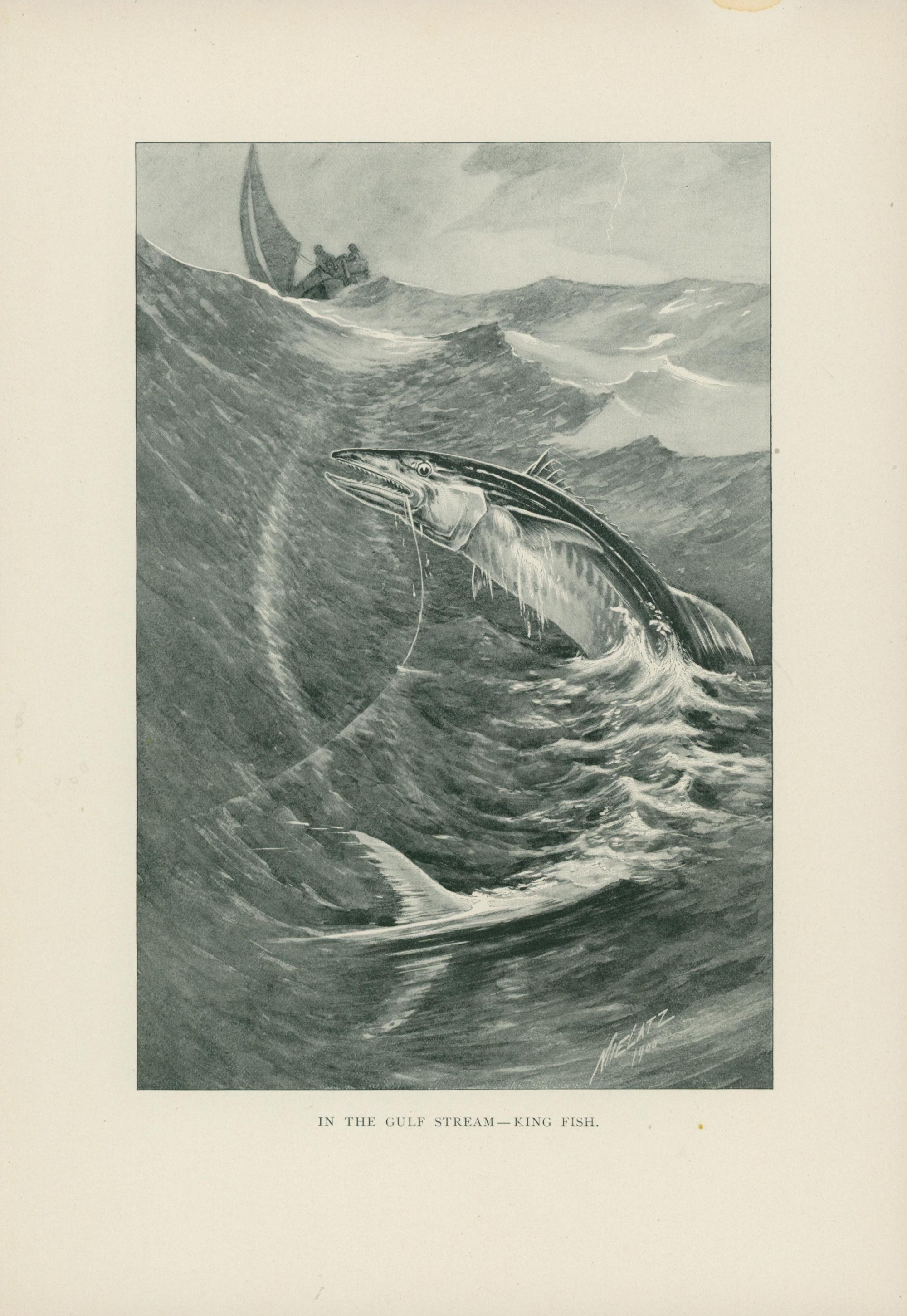 11- NY Forest Fish Game Commission - Authentic Vintage Illustration