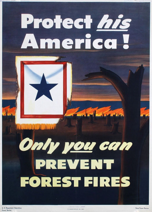 Prevent Forest Fires, WWII - Authentic Vintage Poster