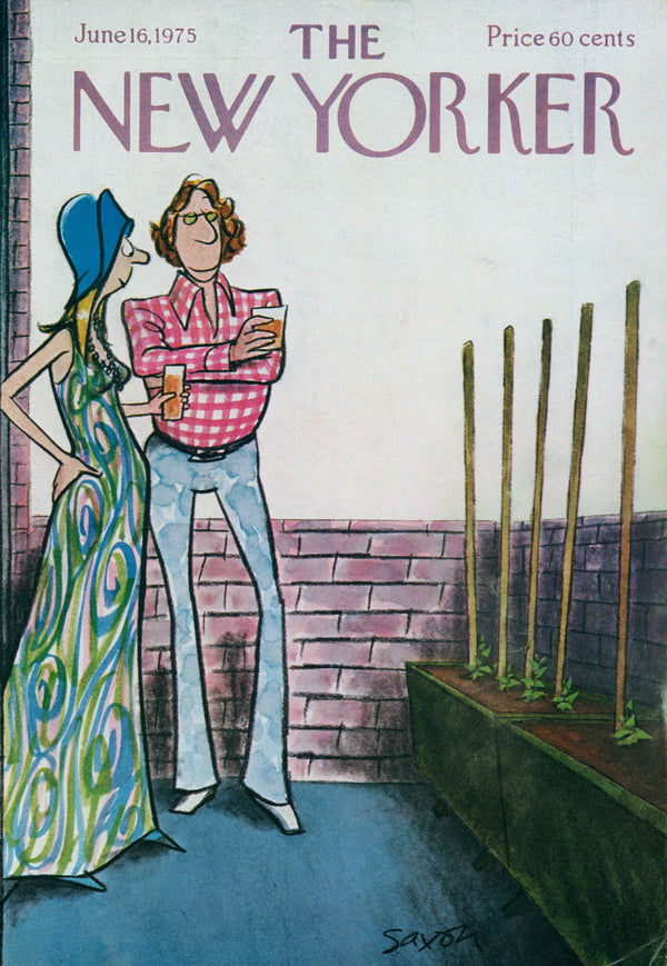 Rooftop Pals- The New Yorker - Authentic Vintage Cover Art