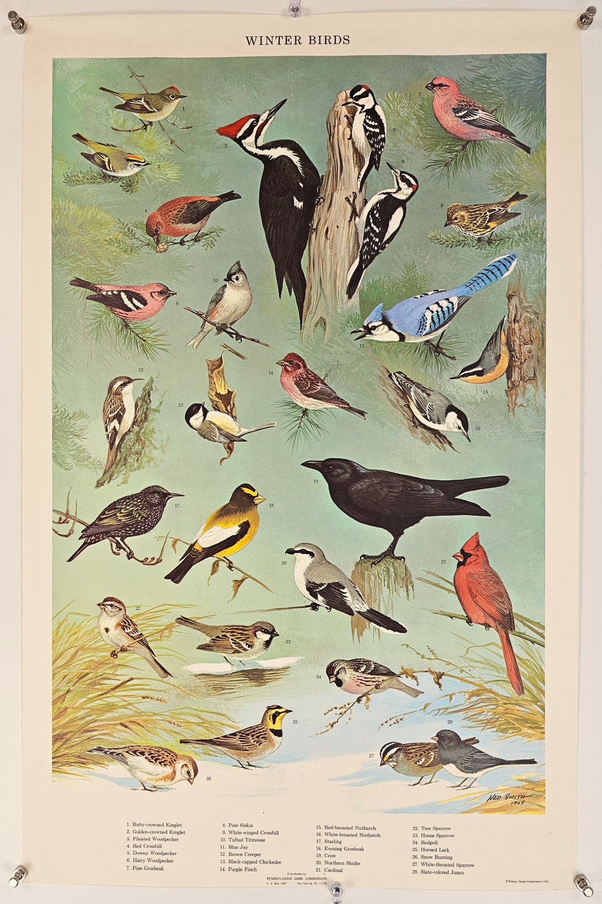 Winter Birds - Original Vintage Poster