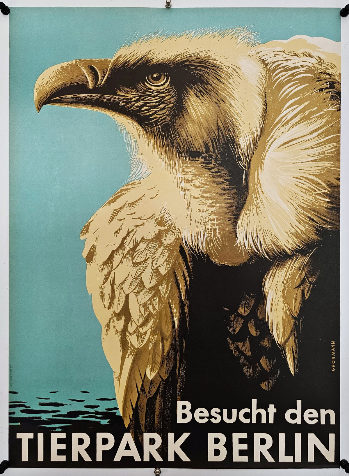 Berlin Zoo, Griffon Vulture - Original Vintage Poster