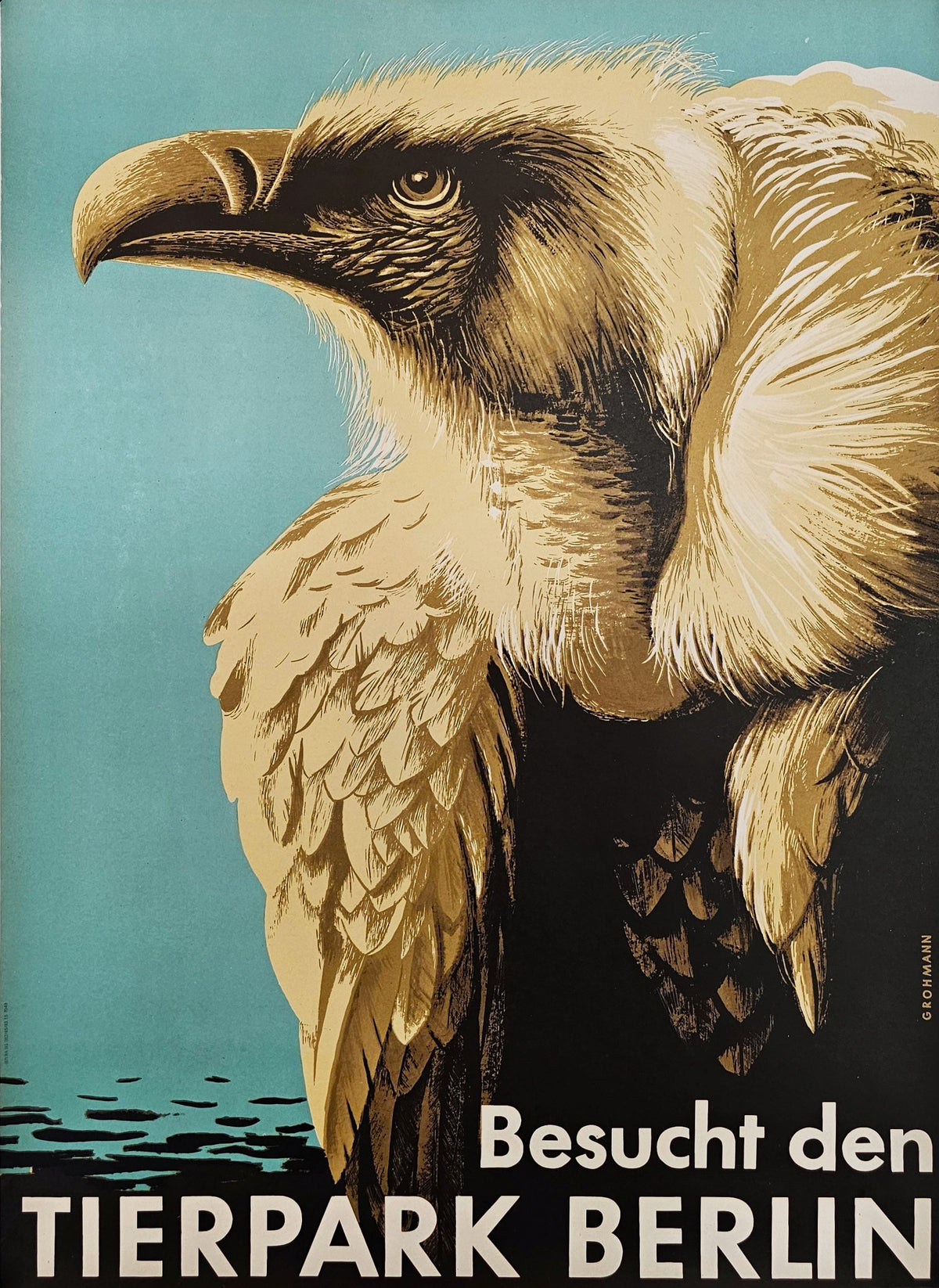Berlin Zoo, Griffon Vulture - Original Vintage Poster