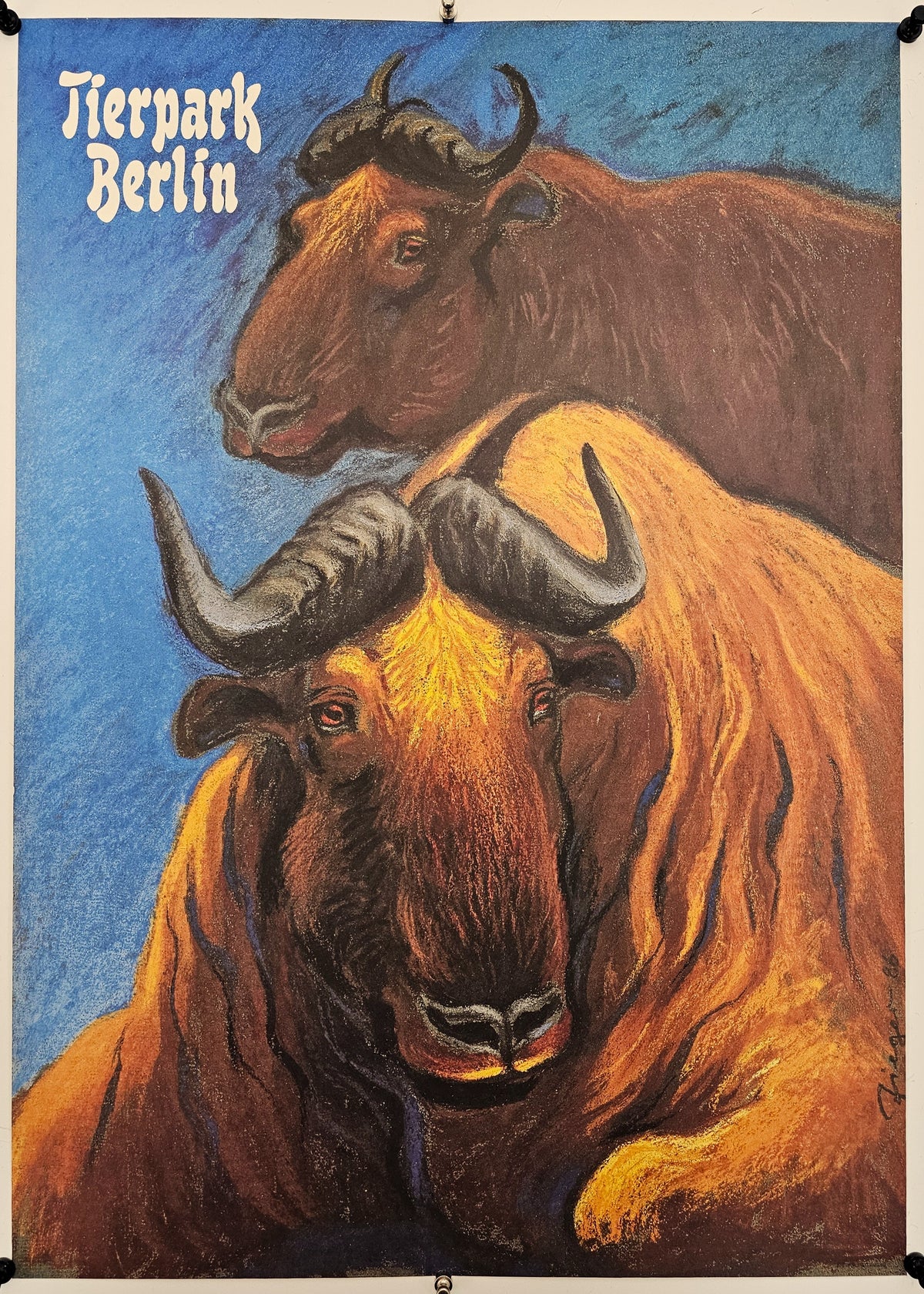 Berlin Zoo, Takins - Original Vintage Poster