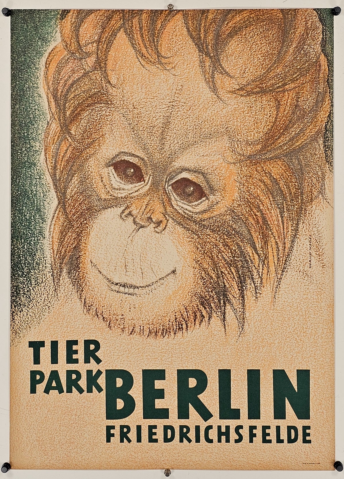 Berlin Zoo, Orangutan - Original Vintage Poster