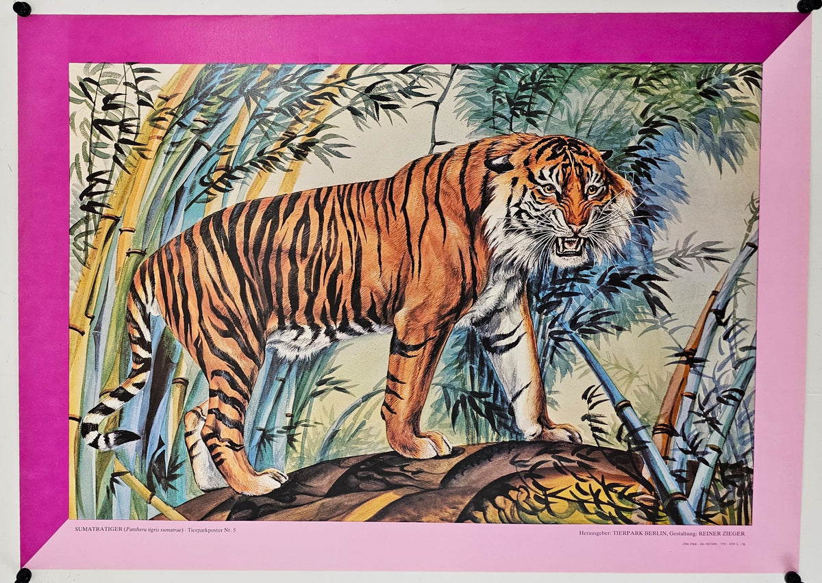 Berlin Zoo, Sumatran Tiger - Original Vintage Poster