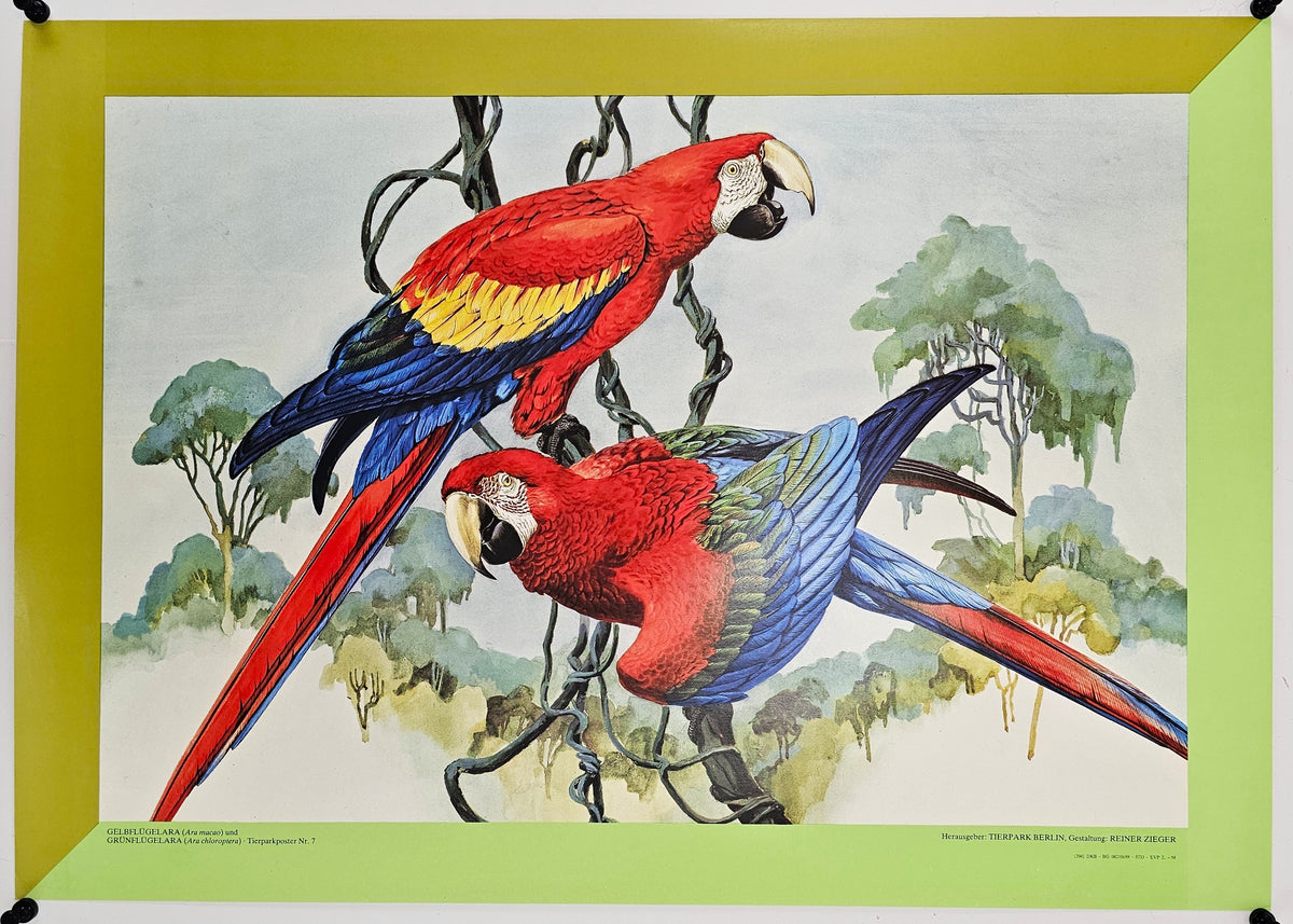 Berlin Zoo 14 - Original Vintage Poster