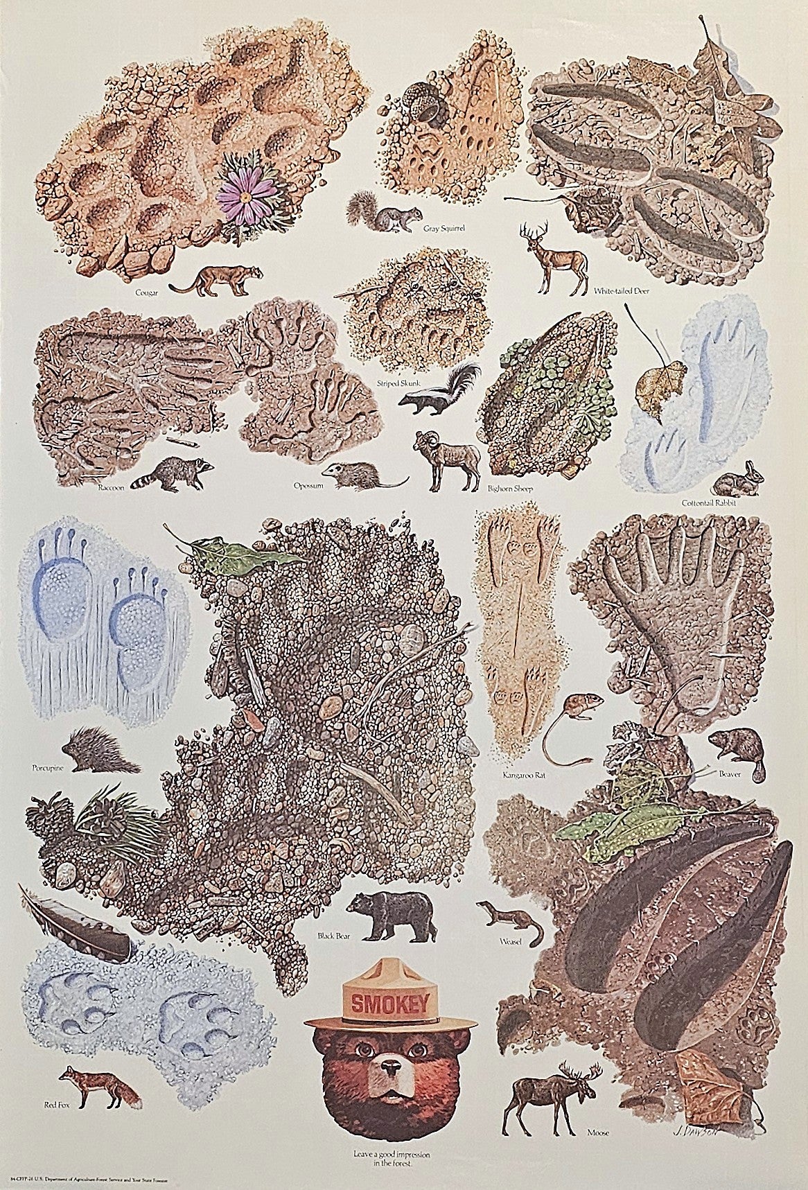 Smokey Forest Campaign Poster - Authentic Vintage Posters