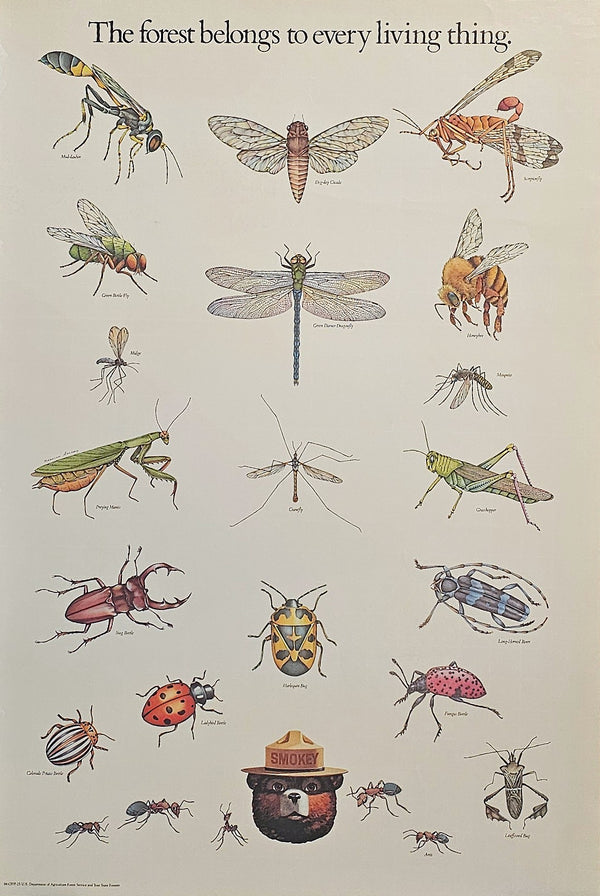 Smokey Forest Campaign - Authentic Vintage Poster