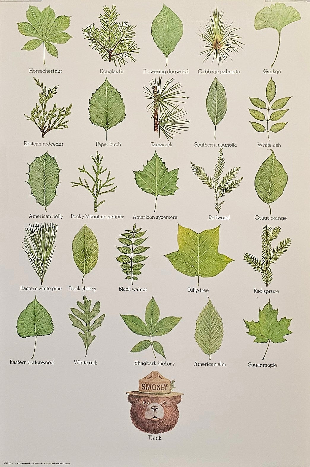 Smokey Forest Campaign Poster - Authentic Vintage Posters