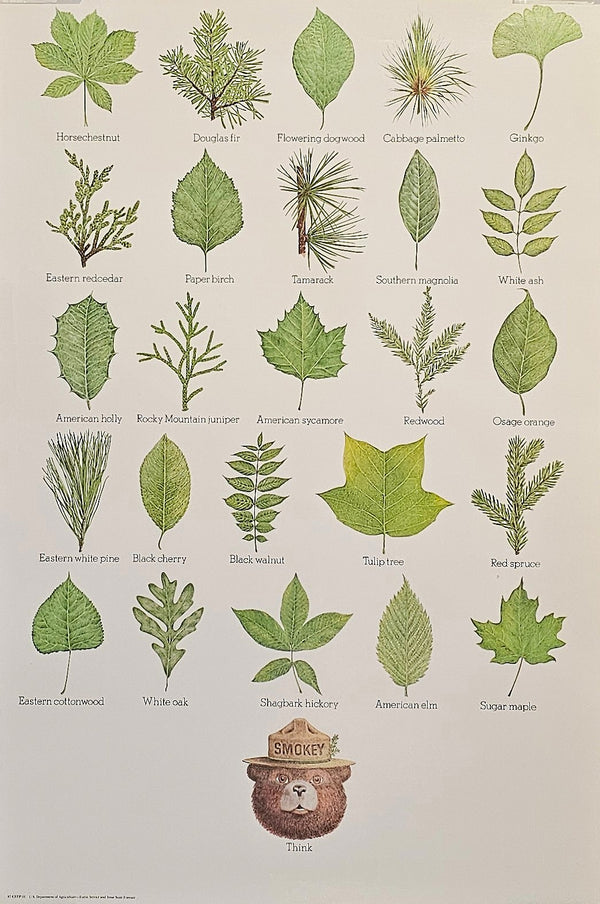 Smokey Forest Campaign Poster - Authentic Vintage Posters