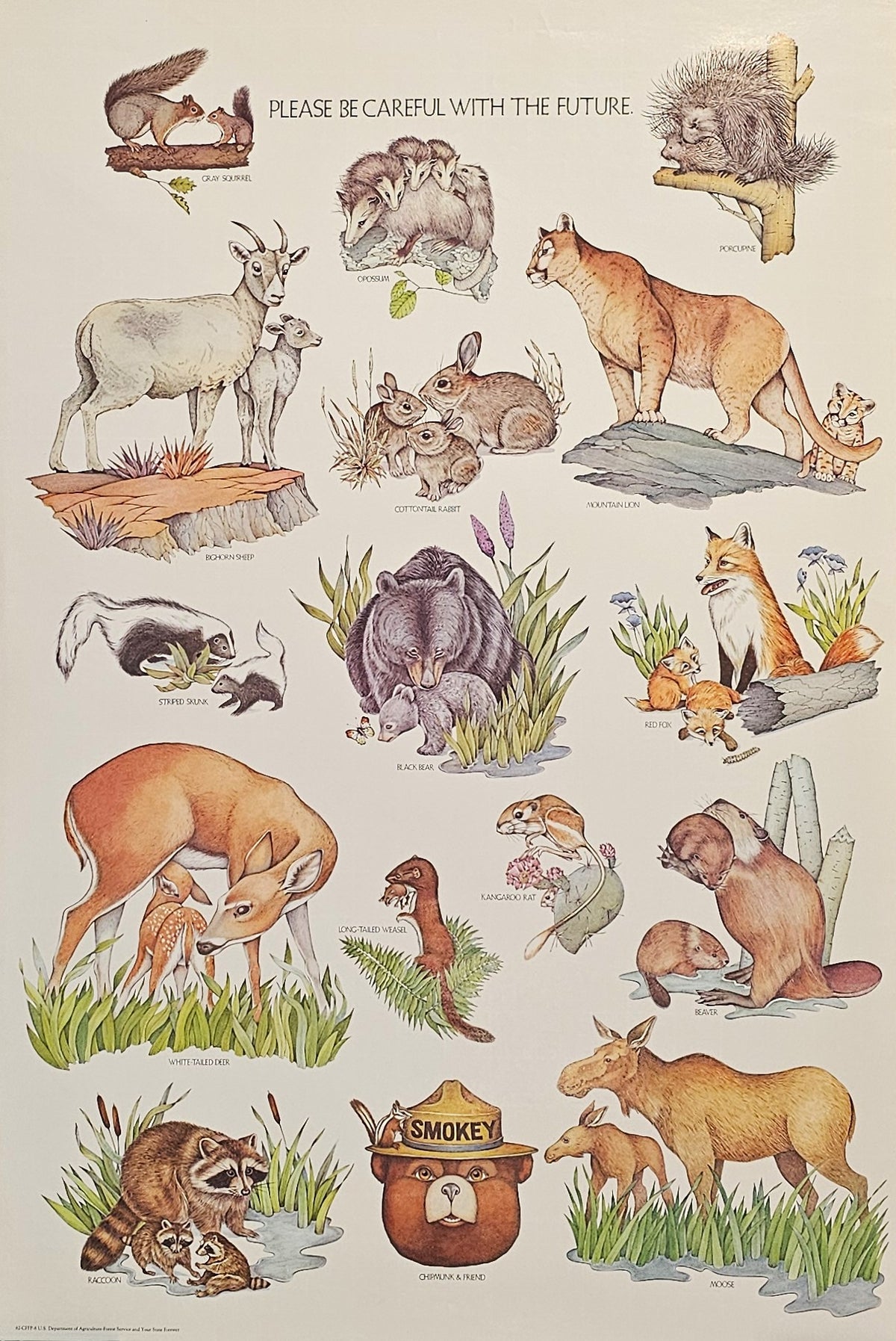 Smokey Forest Campaign - Authentic Vintage Poster