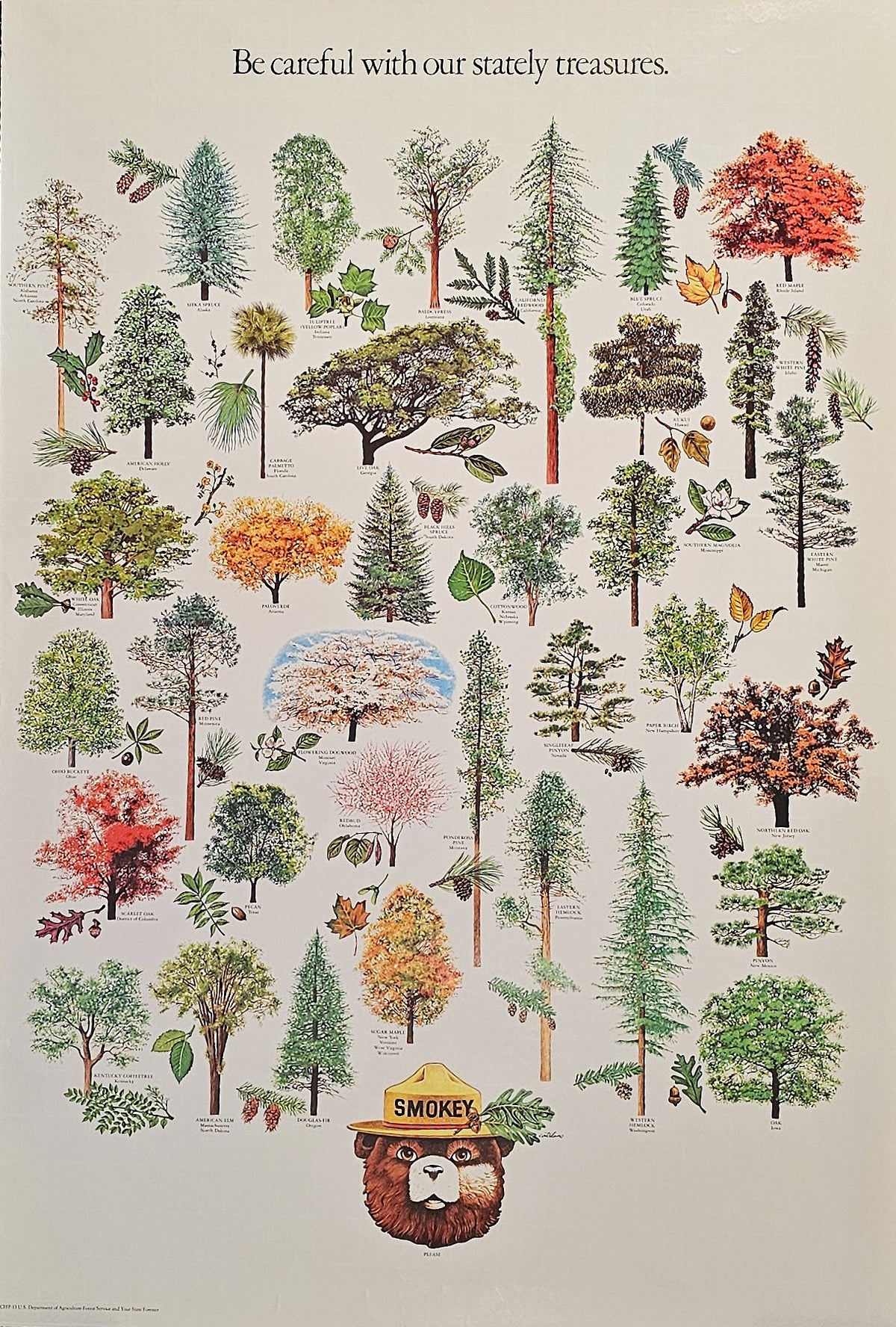 Smokey Forest Campaign - Authentic Vintage Poster