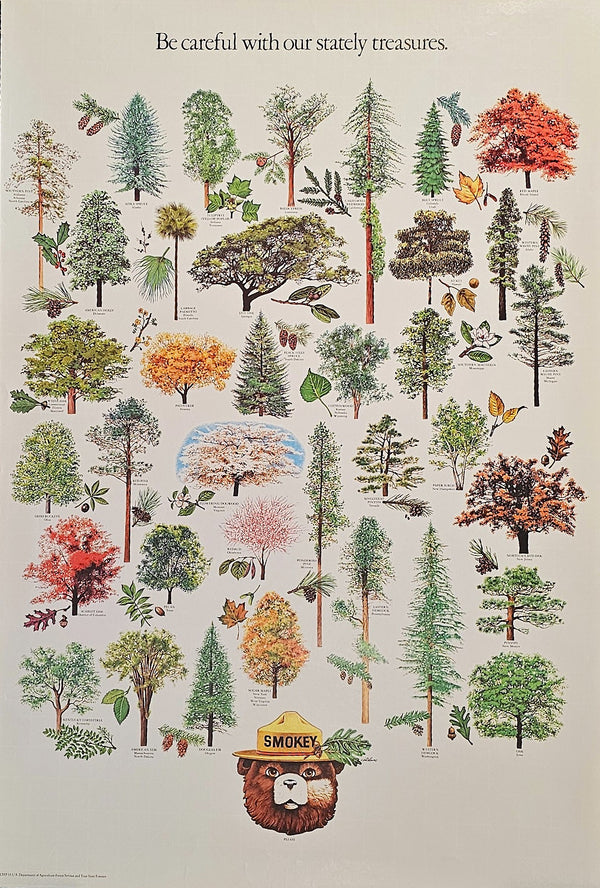 Smokey Forest Campaign - Authentic Vintage Poster