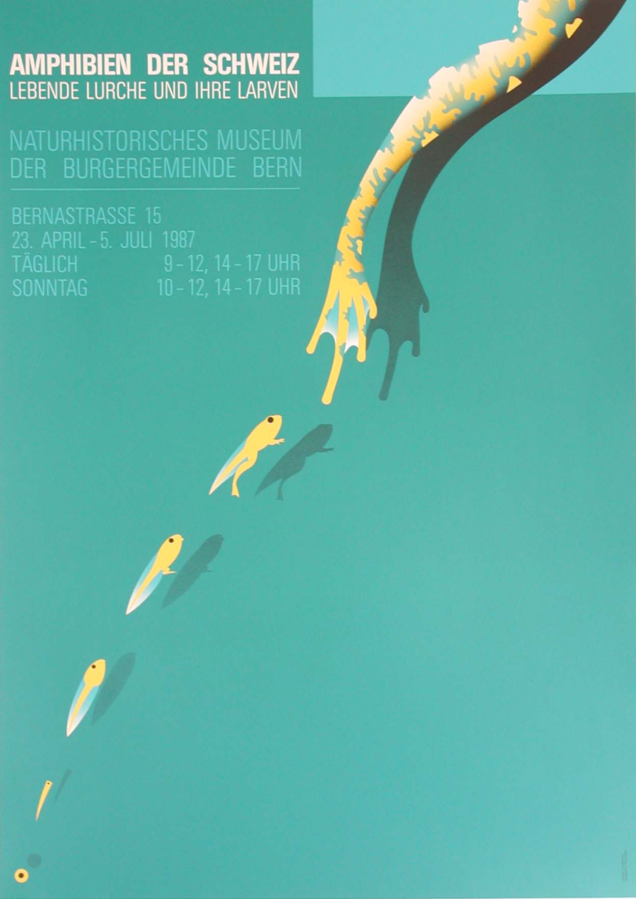 Amphibians of Switzerland - Authentic Vintage Poster