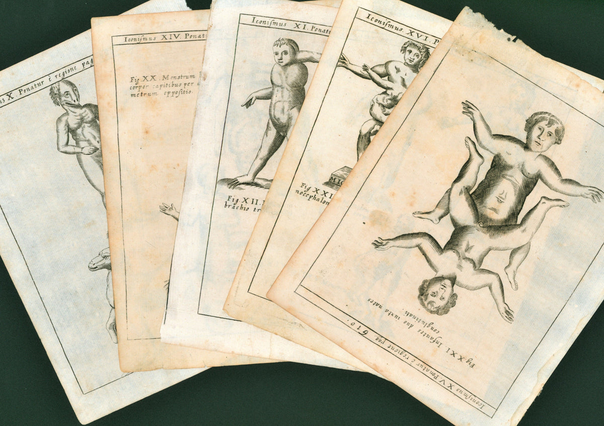 Beasts, Monsters &amp; Deformities- Five Antique Engravings - Authentic Vintage Poster