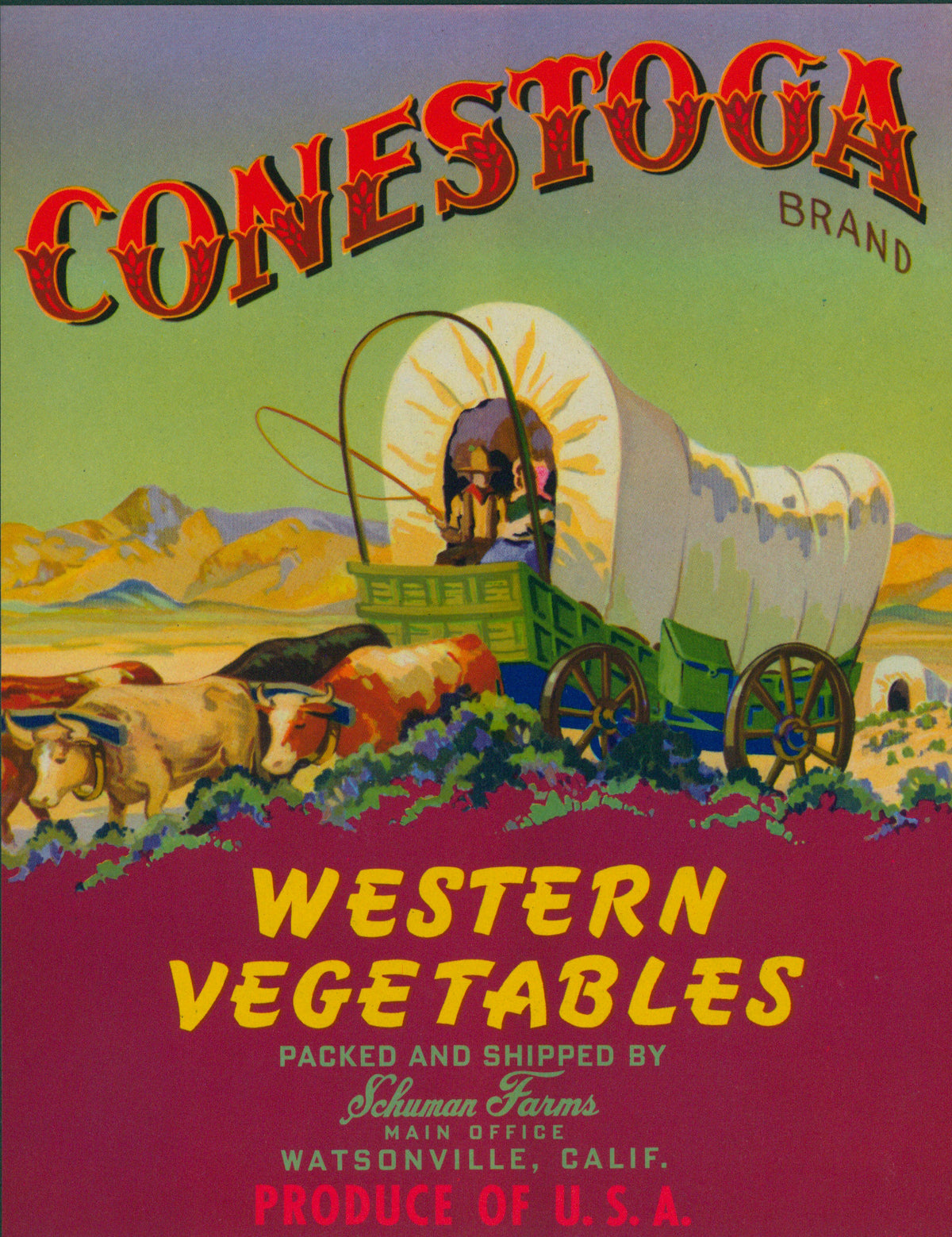 Conestoga Western Vegetables- Crate Label - Authentic Vintage Antique Print