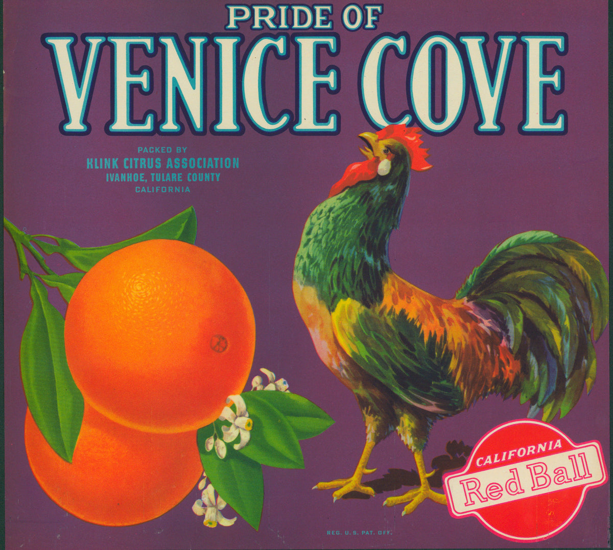 Pride of Venice Cove- Crate Label - Authentic Vintage Antique Print