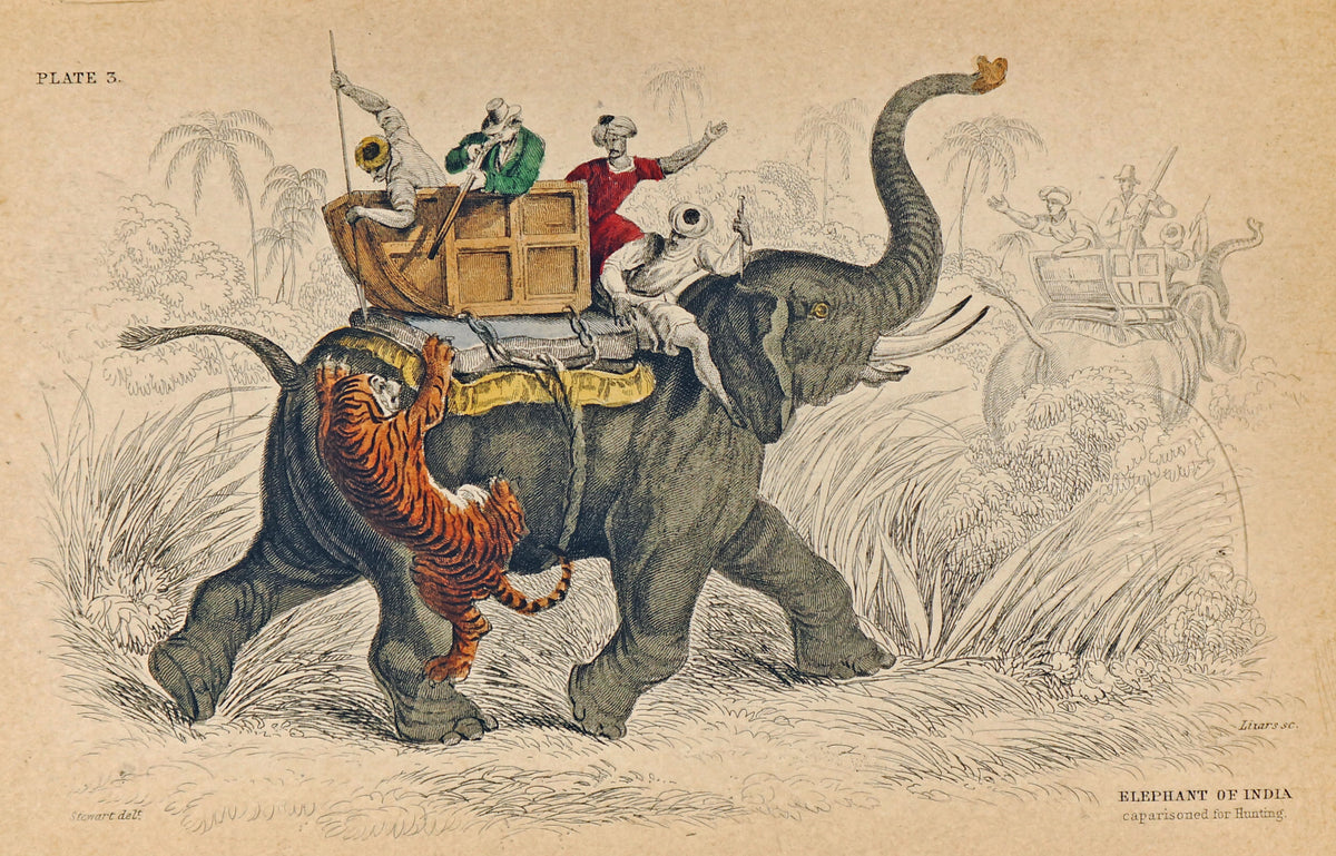 Indian Elephant &amp; Tiger Attack, Hand-Colored Antique Print - Authentic Vintage Poster