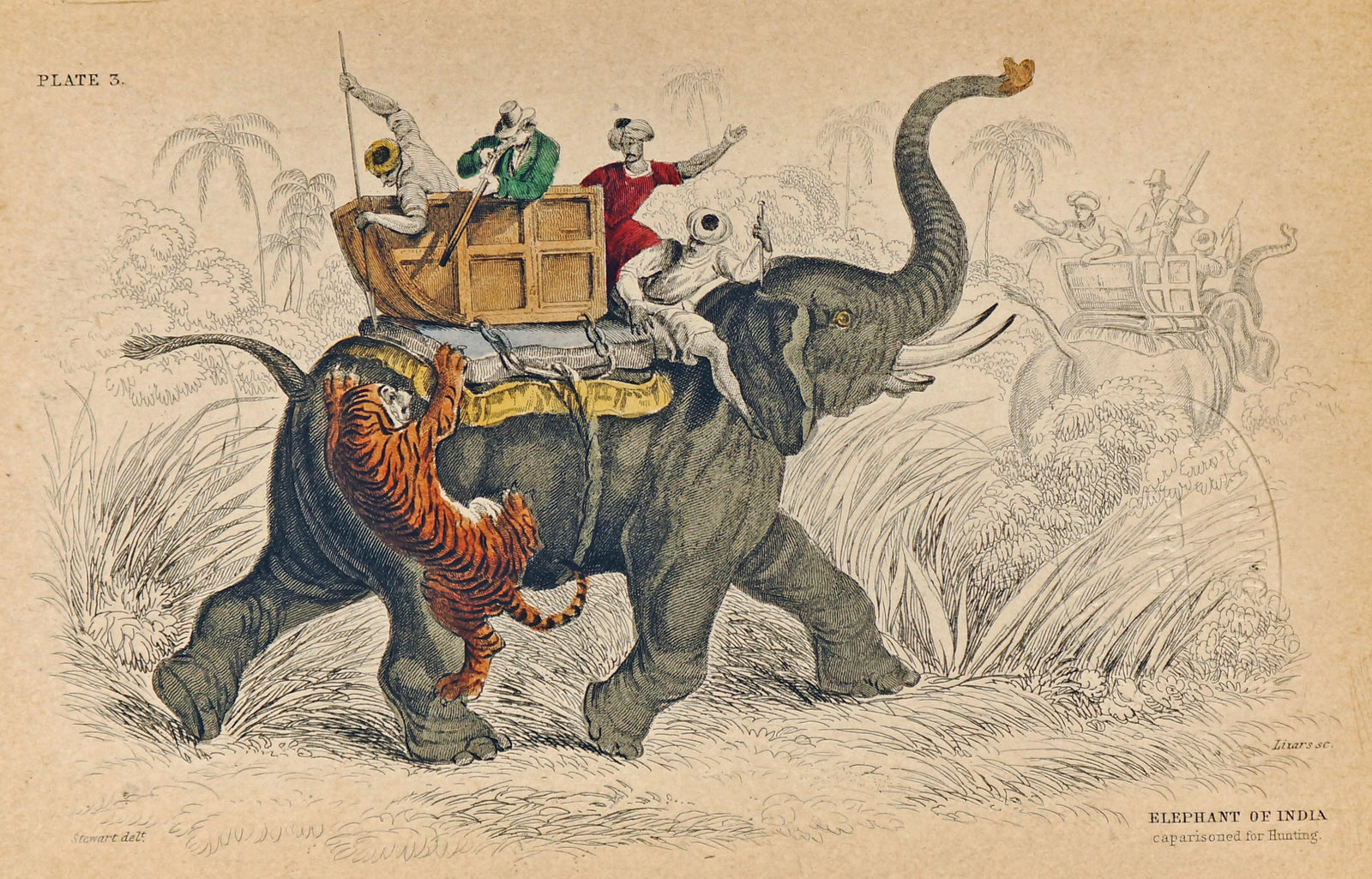 Indian Elephant & Tiger Attack, Hand-Colored Antique Print - Authentic Vintage Poster