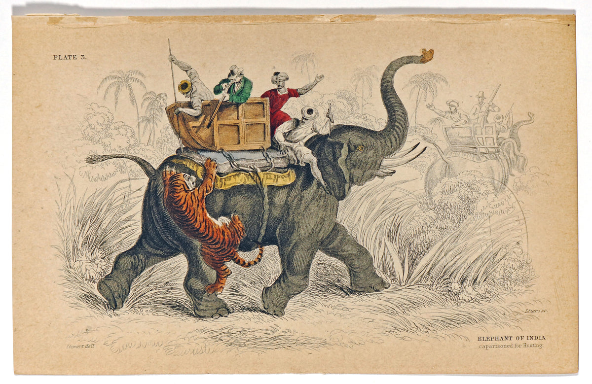 Indian Elephant &amp; Tiger Attack, Hand-Colored Antique Print - Authentic Vintage Poster