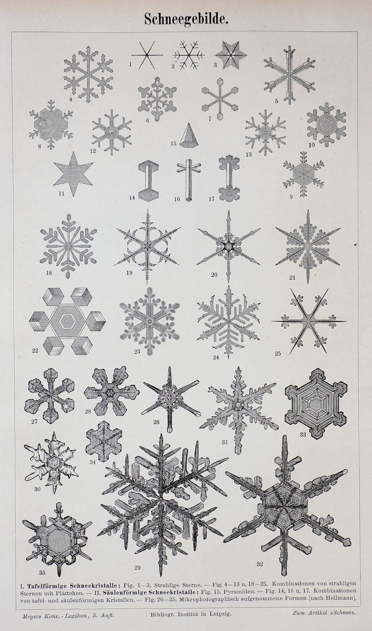 Snowflakes- Steel Engraving - Authentic Vintage Antique Print