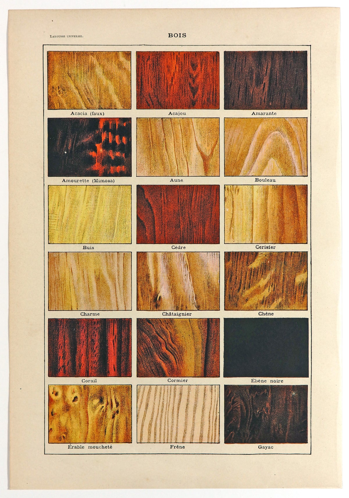 Wood Types, Timber, Carpentry, Antique Chromolithograph - Authentic Vintage Antique Print