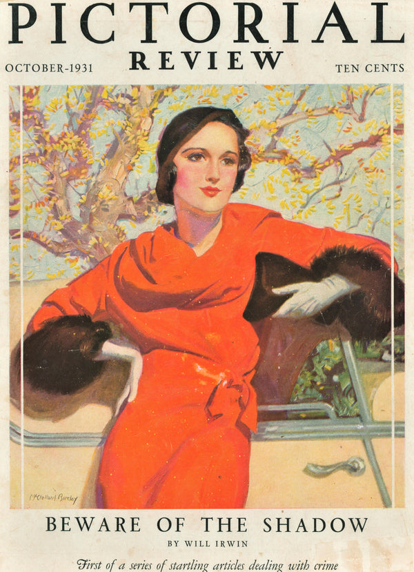 Beware of the Shadow- Pictorial Review - Authentic Vintage Cover Art