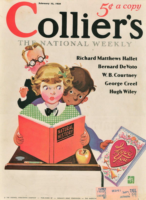 Natural History- Collier's Weekly - Authentic Vintage Cover Art