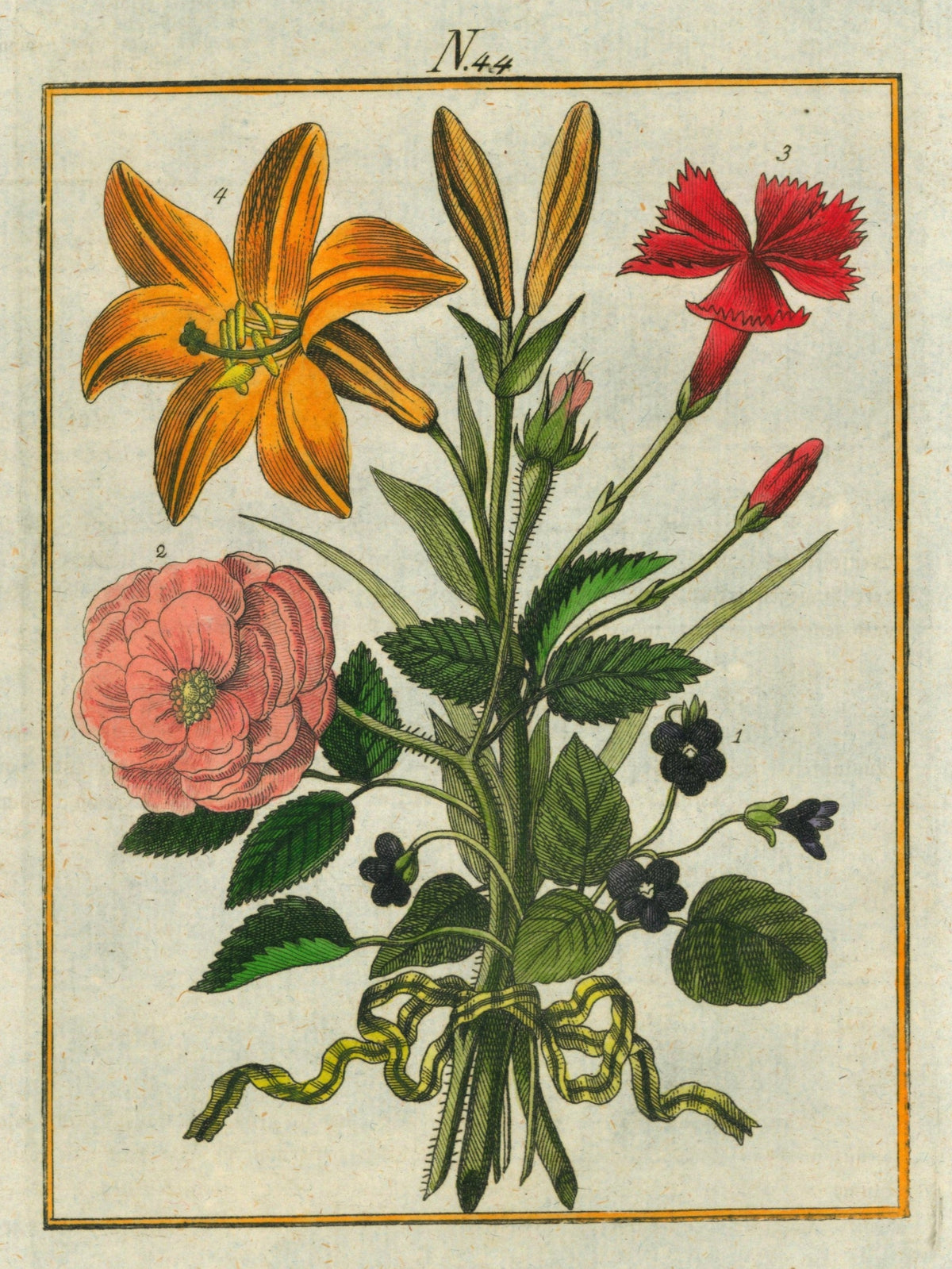 Rose, Tulip, Lily- Hand Colored Engraving - Authentic Vintage Antique Print