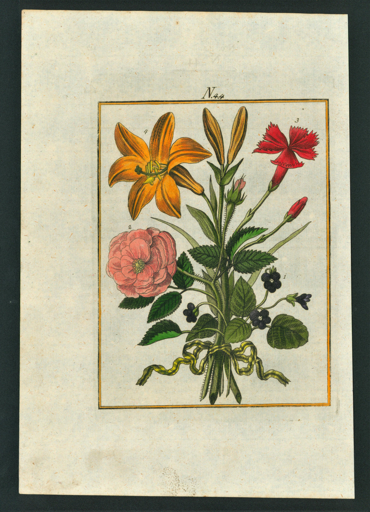 Rose, Tulip, Lily- Hand Colored Engraving - Authentic Vintage Antique Print