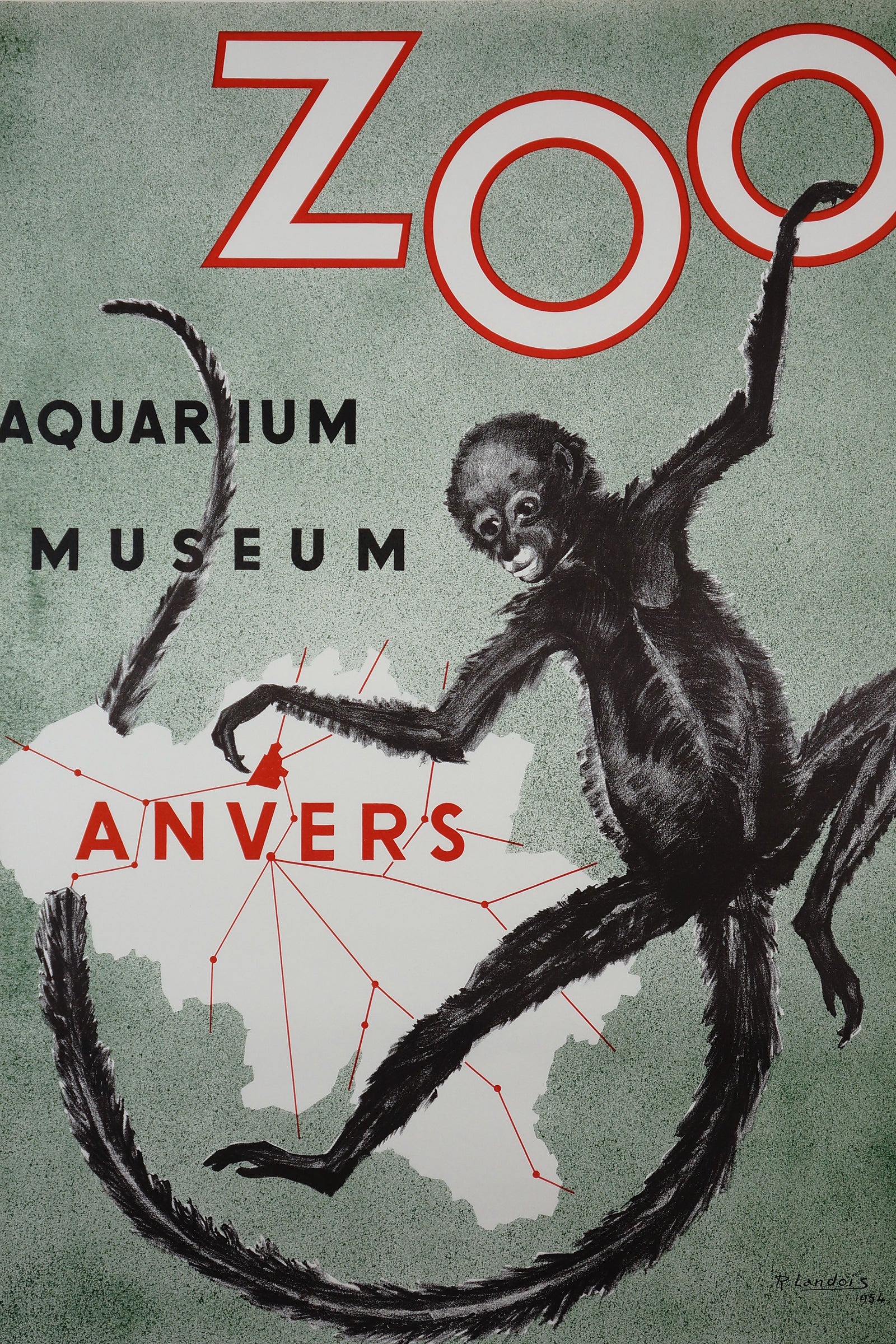 Zoo Anvers - Authentic Vintage Poster