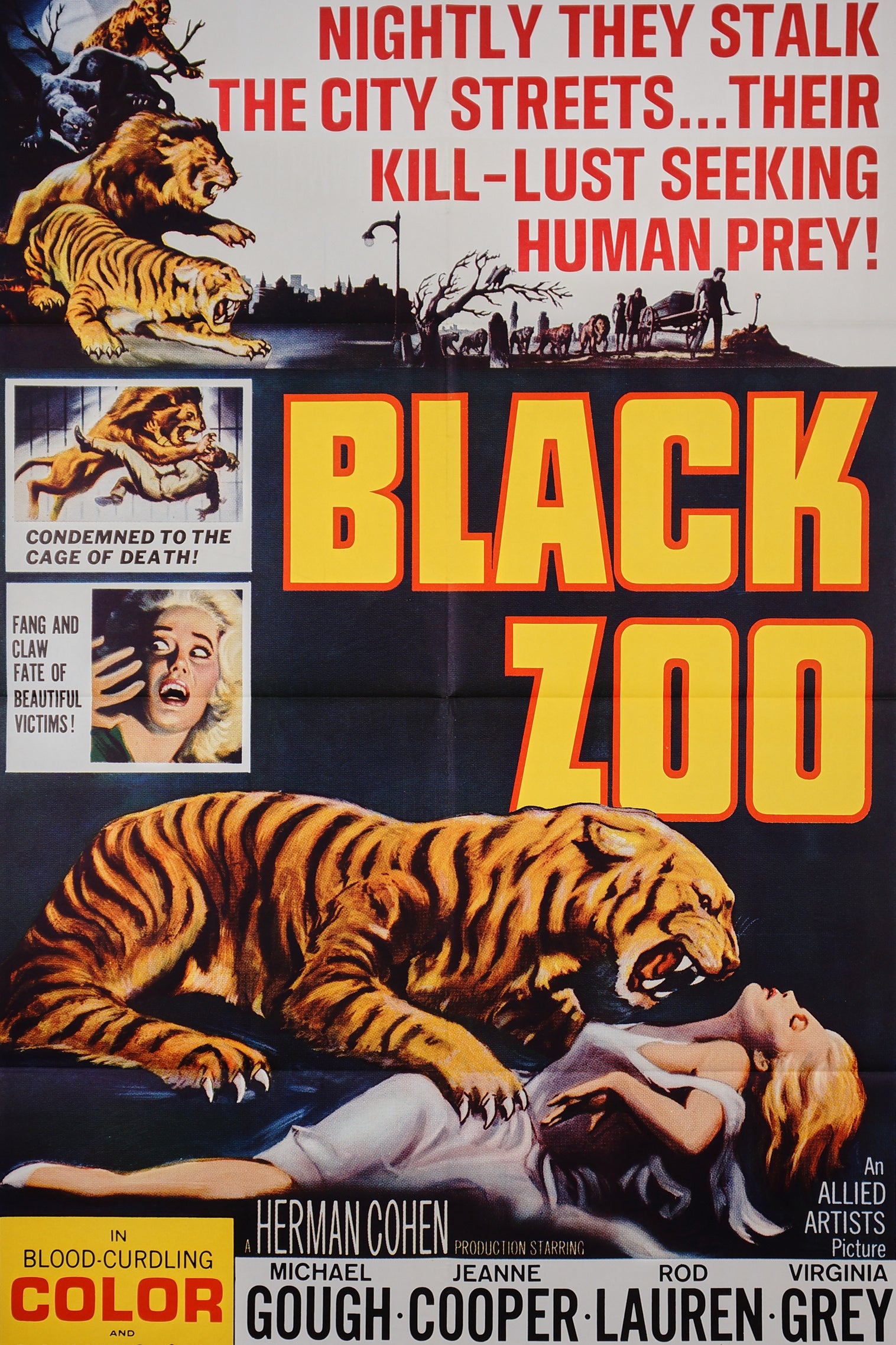 Black Zoo - Authentic Vintage Poster