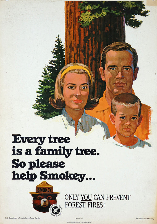 Every Tree is a Family Tree- U.S. Forest Service - Authentic Vintage Poster