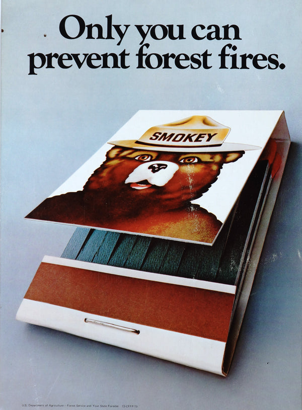 Only You Can Prevent Forest Fires - Authentic Vintage Window Card