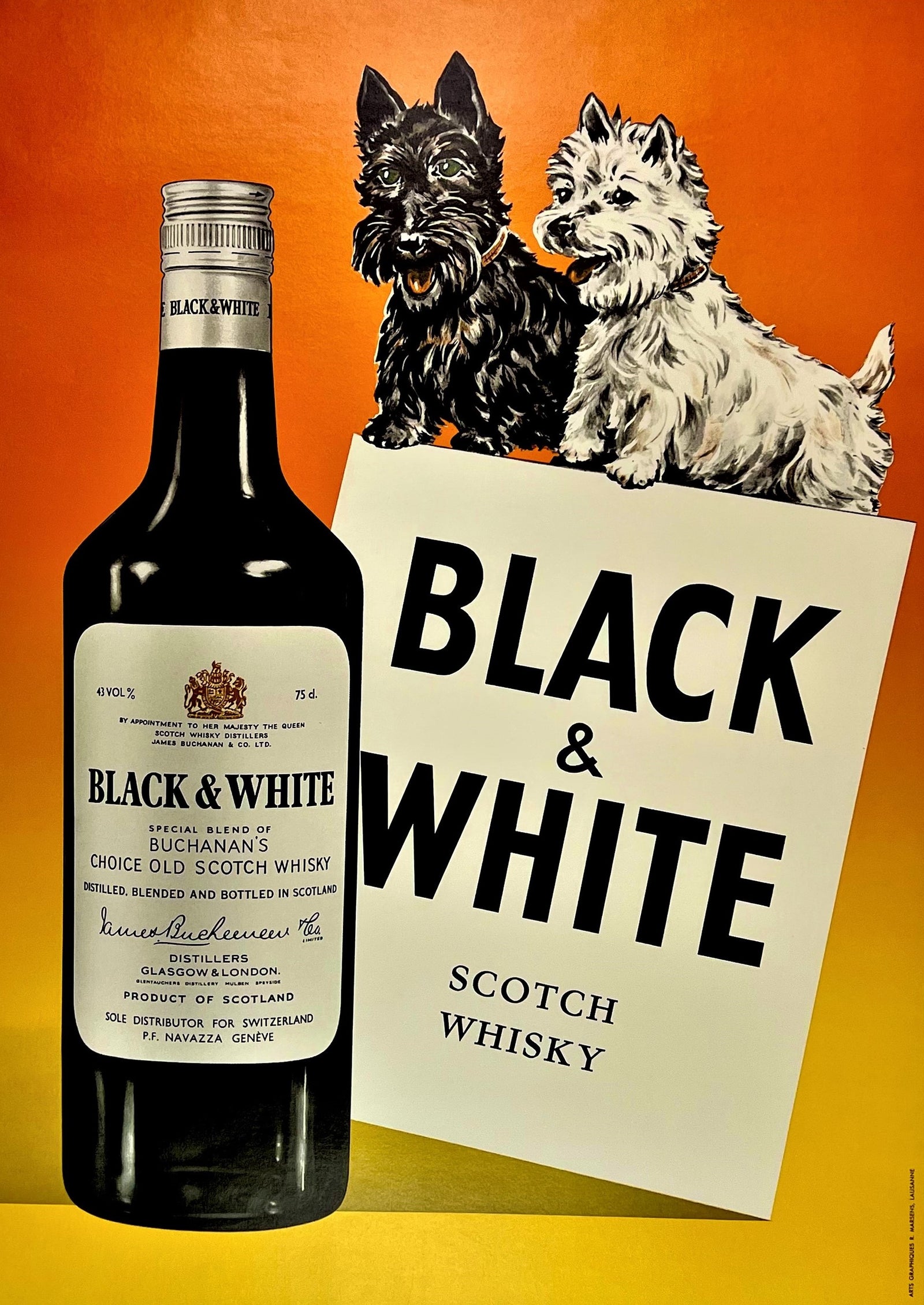 Black & White Scotch Whisky - Authentic Vintage Poster