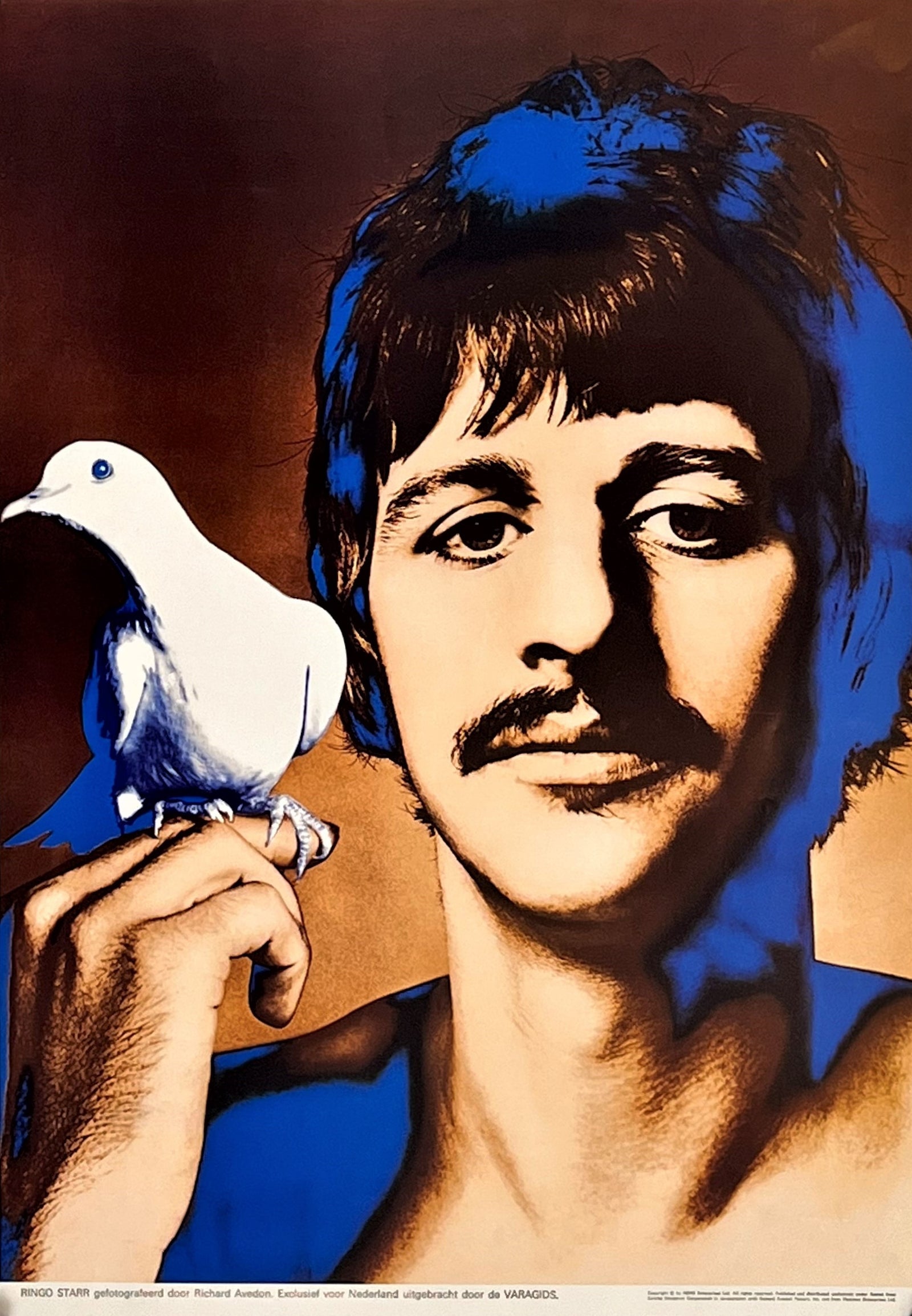 Ringo Starr- Richard Avedon Series - Authentic Vintage Poster