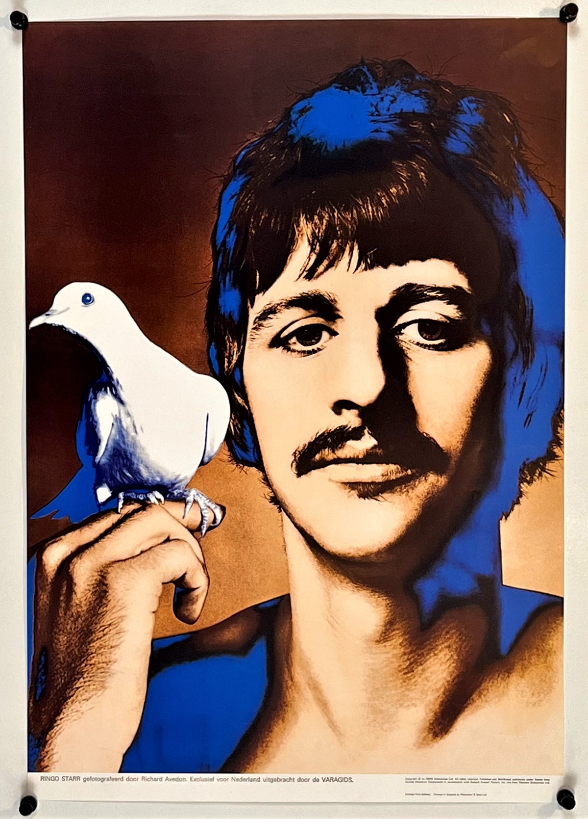 Ringo Starr- Richard Avedon Series - Authentic Vintage Poster