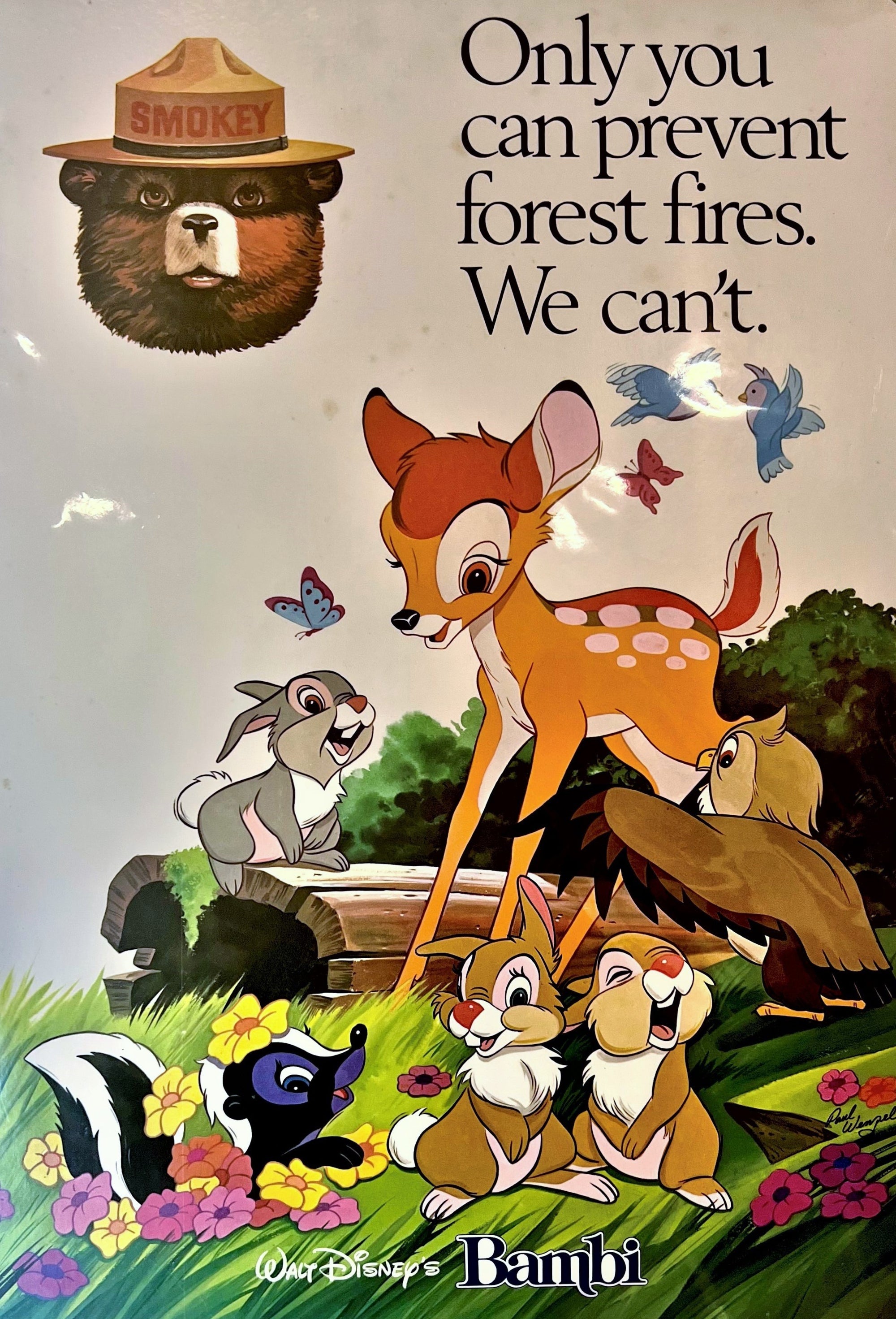 Walt Disney- Only You Can Prevent Forest Fires - Authentic Vintage Window Card