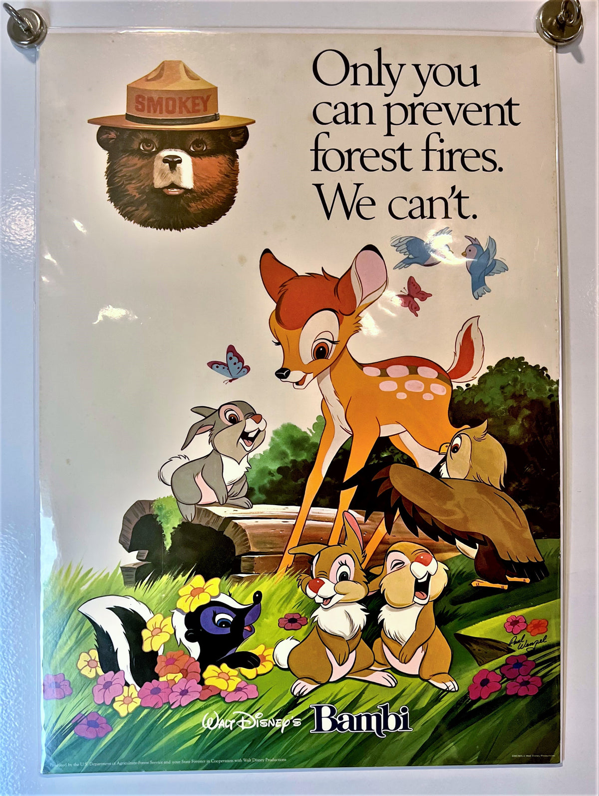 Walt Disney- Only You Can Prevent Forest Fires - Authentic Vintage Window Card