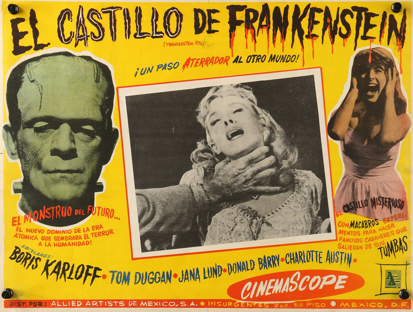 Frankenstein - Authentic Vintage Poster