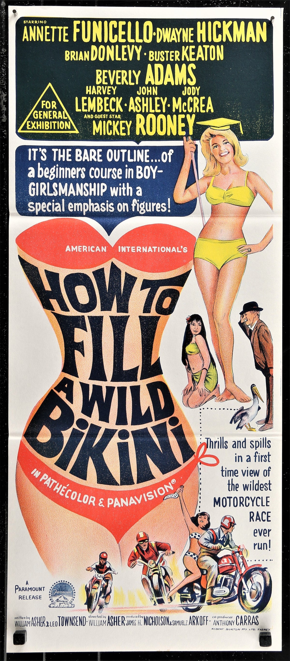 How to Stuff a Wild Bikini - Authentic Vintage Poster