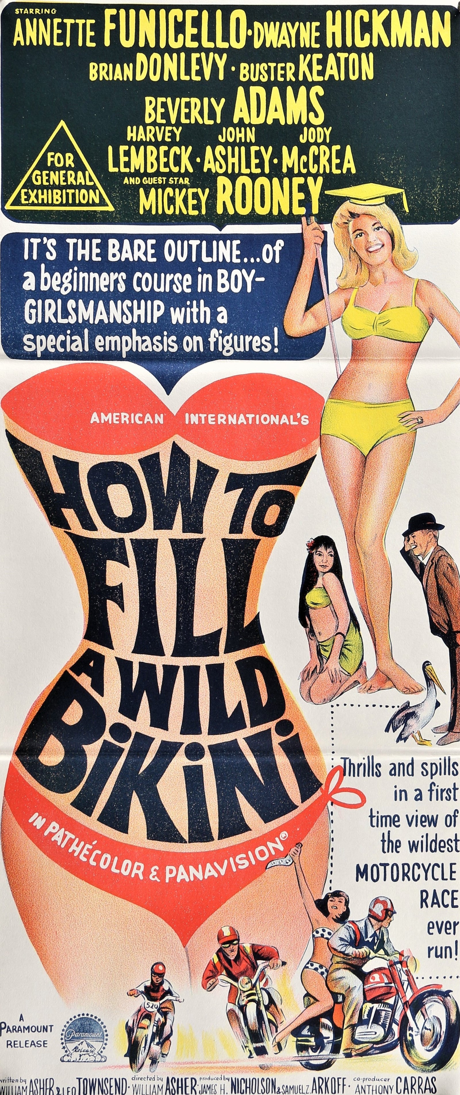 How to Stuff a Wild Bikini - Authentic Vintage Poster