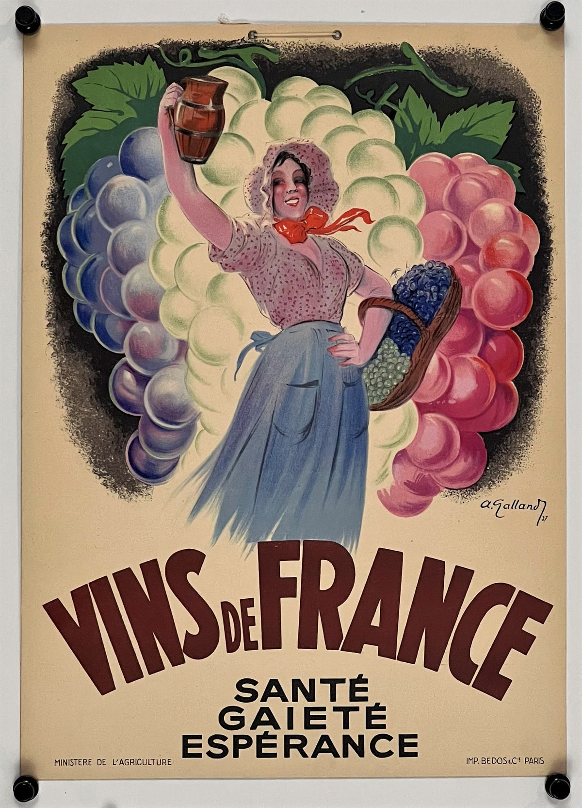 Vins de France - Authentic Vintage 